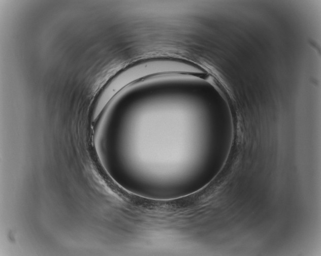 X0000099460485200805161050