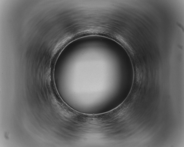 X0000099460486200805161050