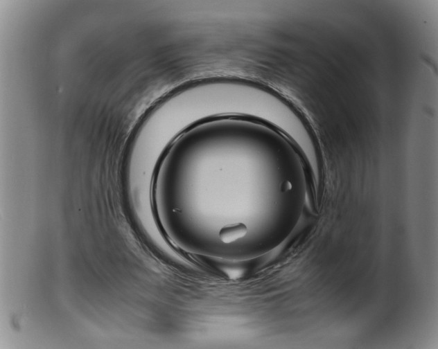 X0000099460487200805161050