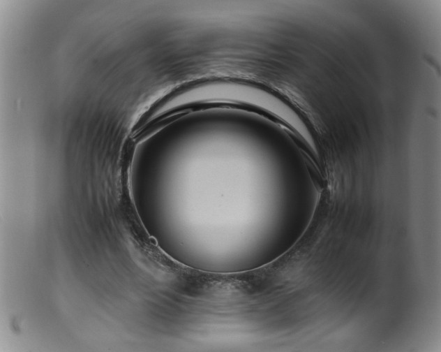 X0000099460488200805161050