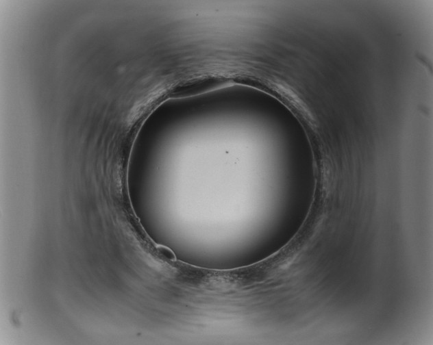 X0000099460489200805161050