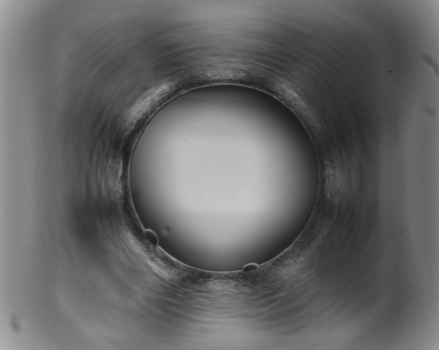 X0000099460490200805161050