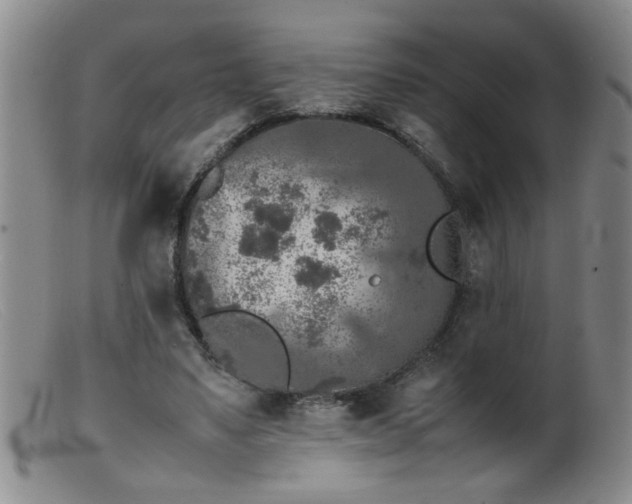 X0000099460491200805161050