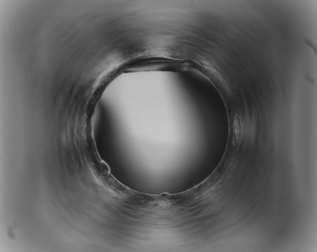 X0000099460492200805161050