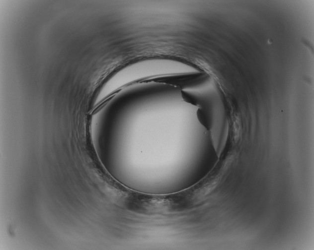 X0000099460493200805161050