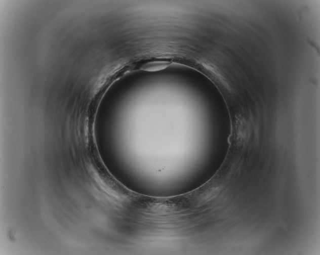 X0000099460494200805161050