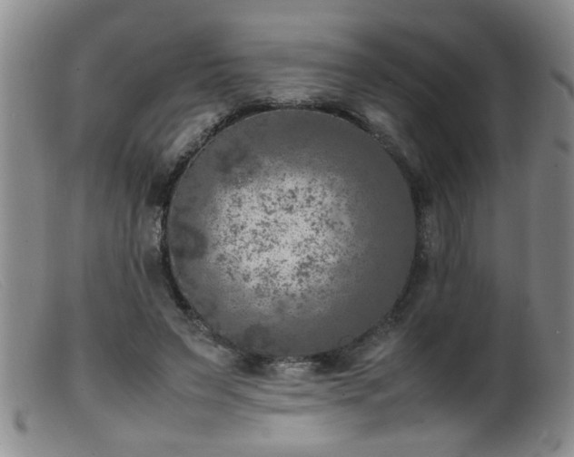 X0000099460495200805161050