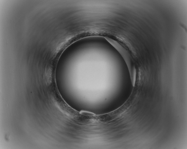 X0000099460496200805161050