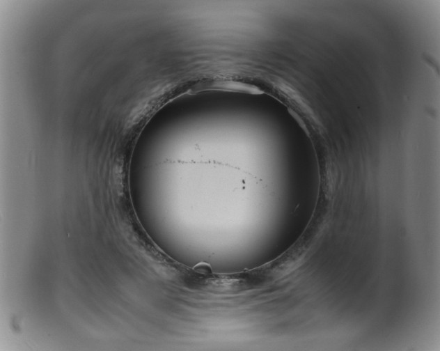 X0000099460497200805161050