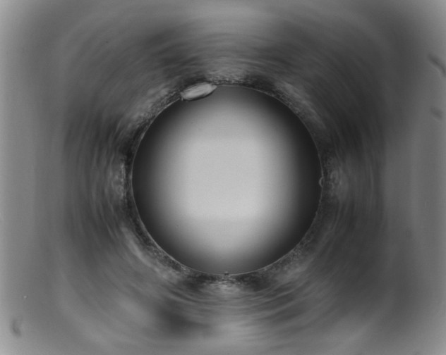 X0000099460498200805161050