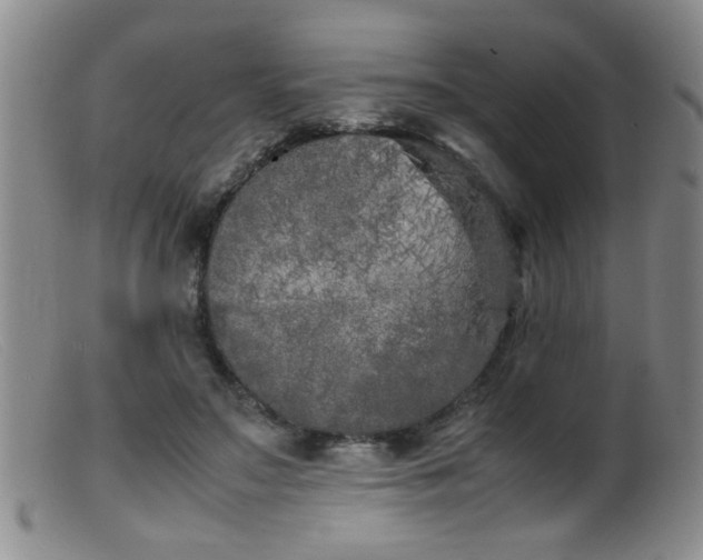 X0000099460499200805161050