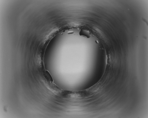 X0000099460500200805161050