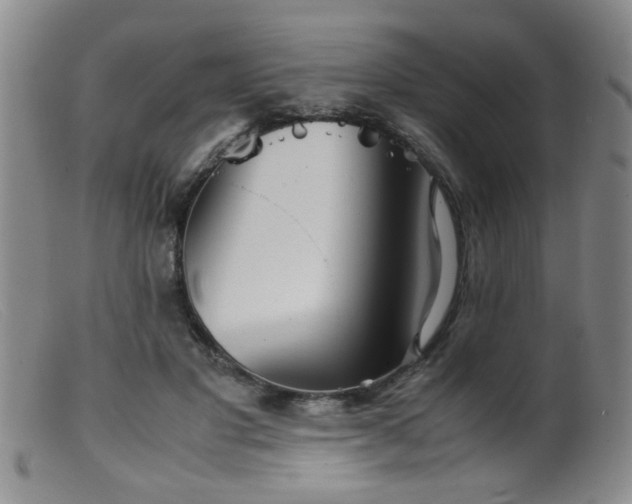 X0000099460501200805161050