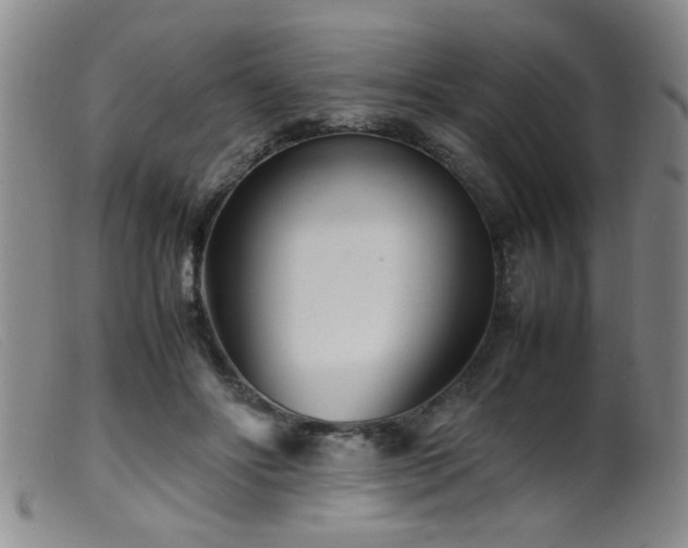 X0000099460502200805161050