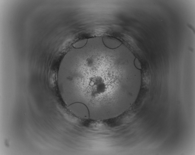 X0000099460503200805161050