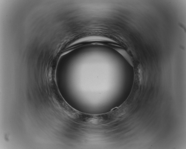 X0000099460504200805161050