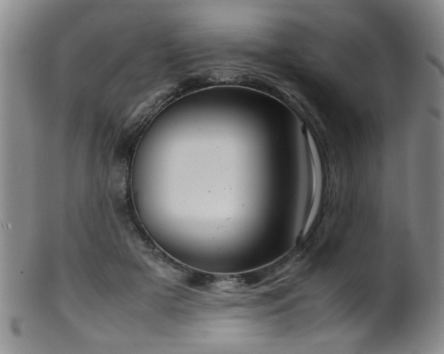 X0000099460505200805161050