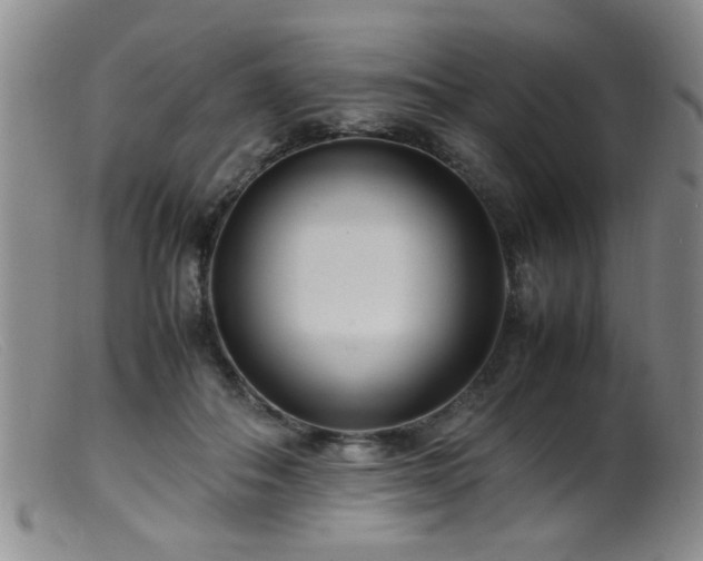 X0000099460506200805161050