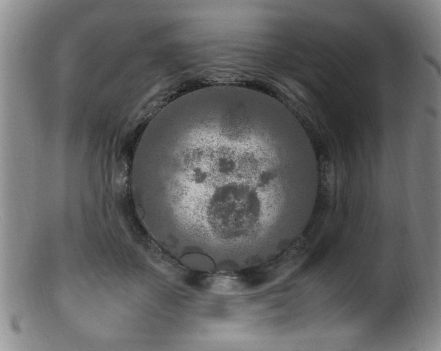 X0000099460507200805161050