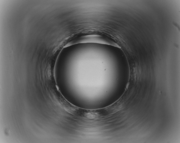 X0000099460508200805161050