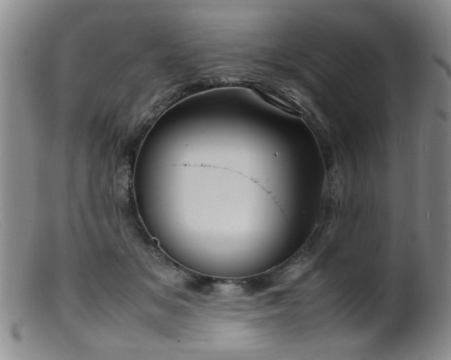 X0000099460509200805161050