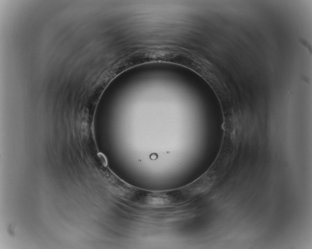 X0000099460510200805161050