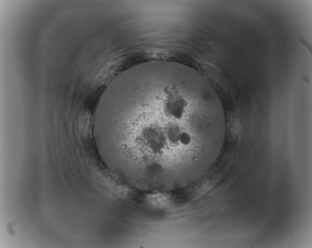 X0000099460511200805161050