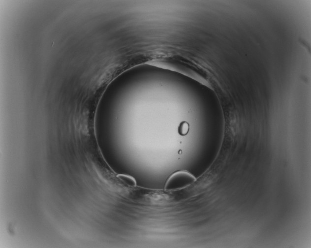 X0000099460512200805161050