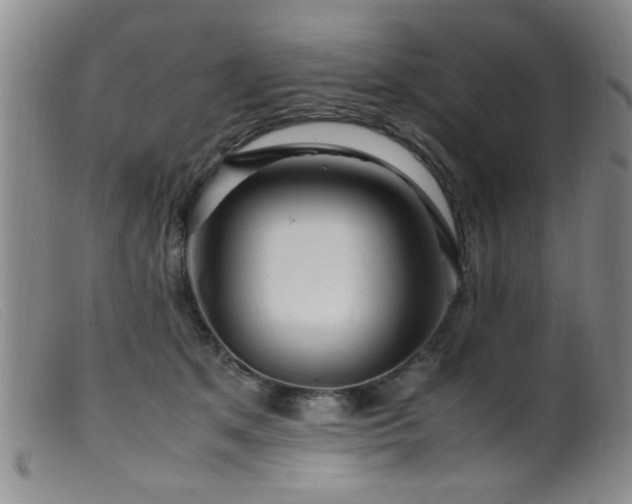 X0000099460513200805161050