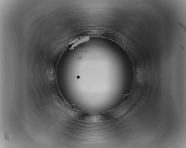 X0000099460514200805161050