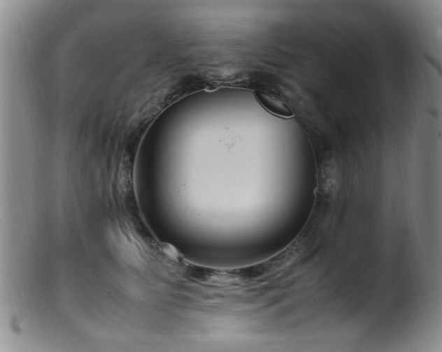 X0000099460515200805161050