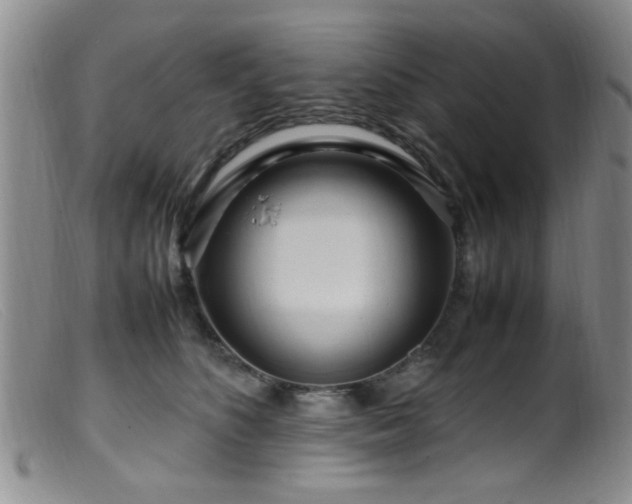 X0000099460516200805161050