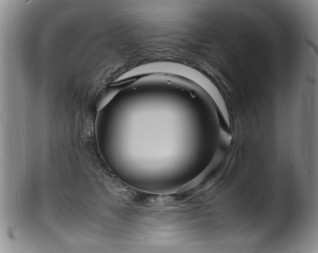 X0000099460517200805161050