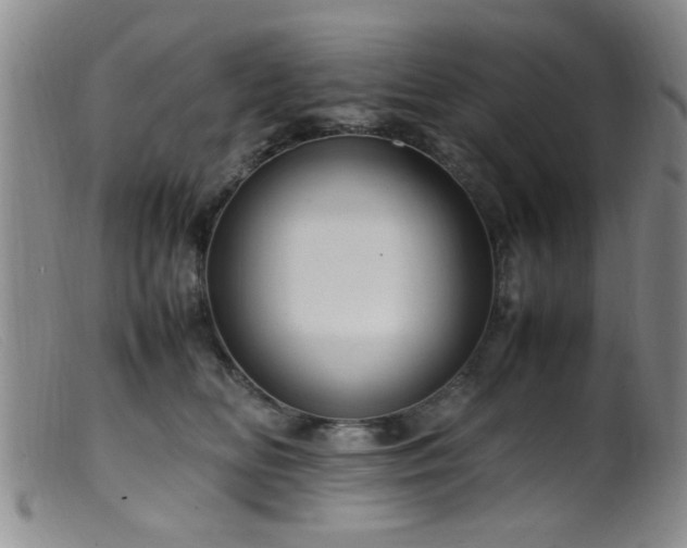 X0000099460518200805161050