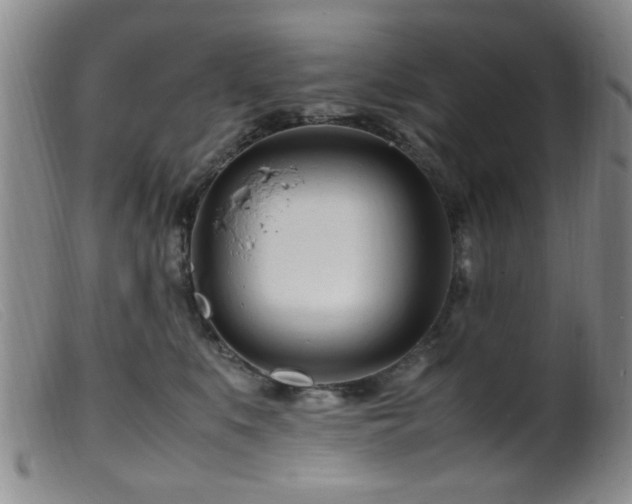 X0000099460519200805161050