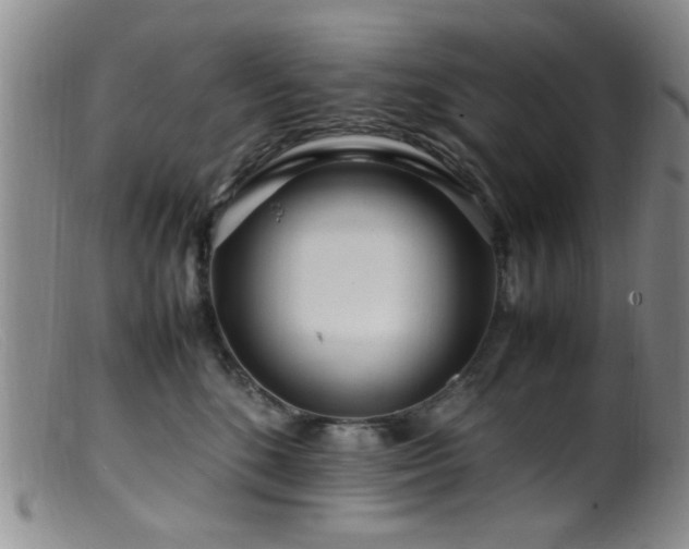 X0000099460520200805161050