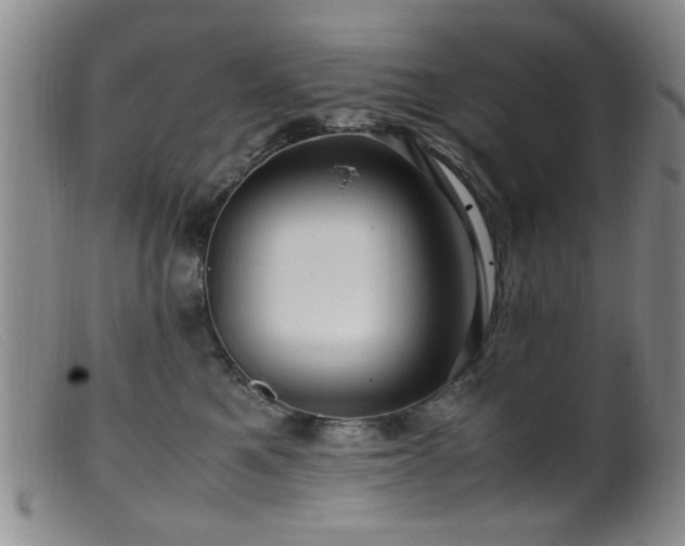 X0000099460521200805161050