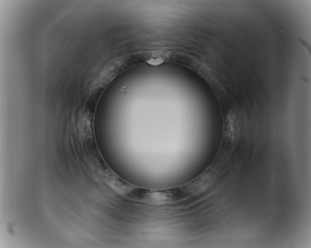 X0000099460522200805161050