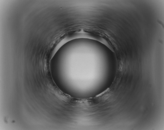 X0000099460524200805161050