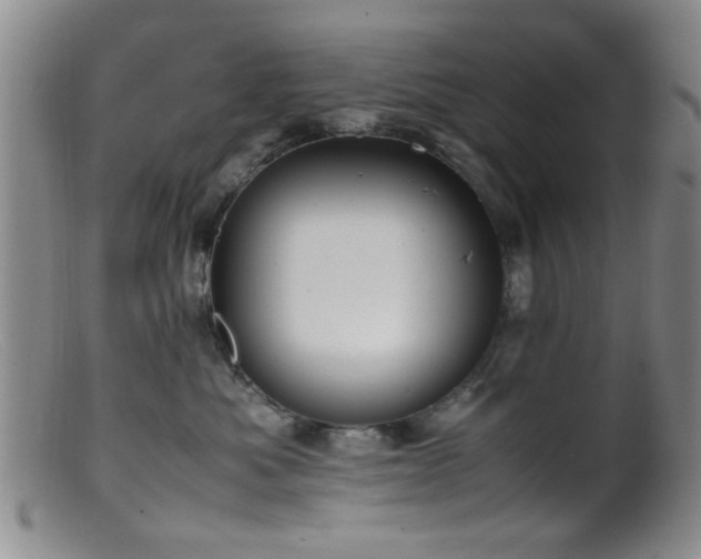 X0000099460525200805161050