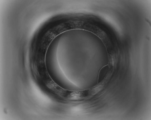 X0000099460526200805161050