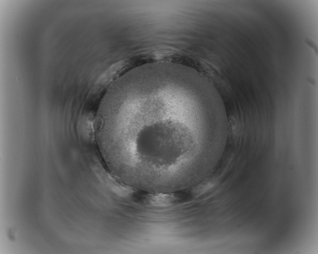 X0000099460527200805161050