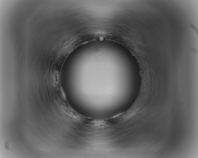 X0000099460528200805161050