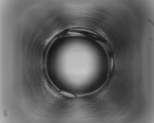 X0000099460530200805161049