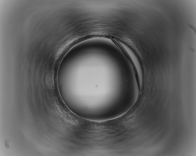 X0000099460531200805161049