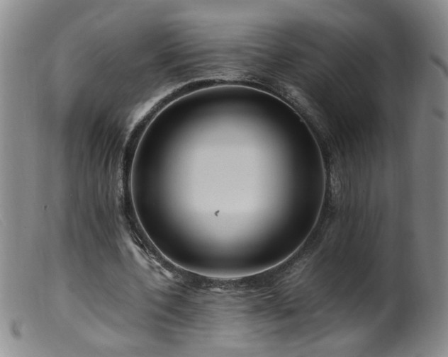 X0000099460532200805161049