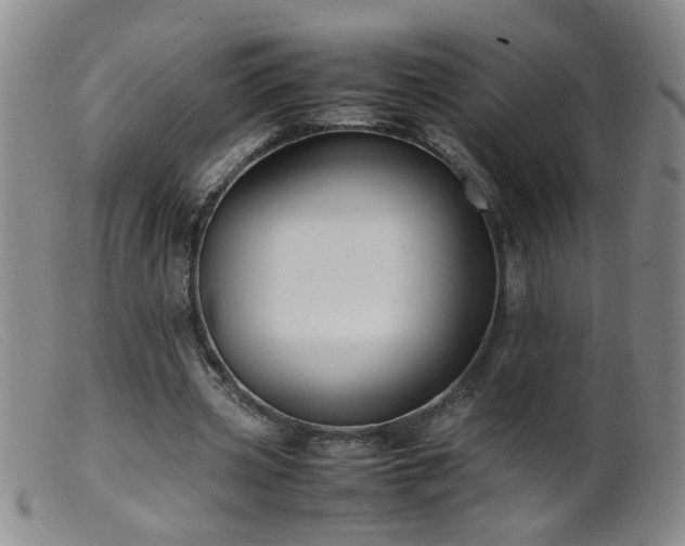 X0000099460533200805161049