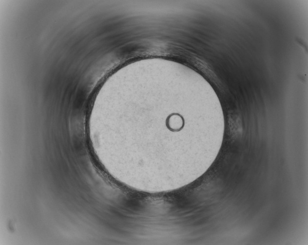 X0000099460534200805161049