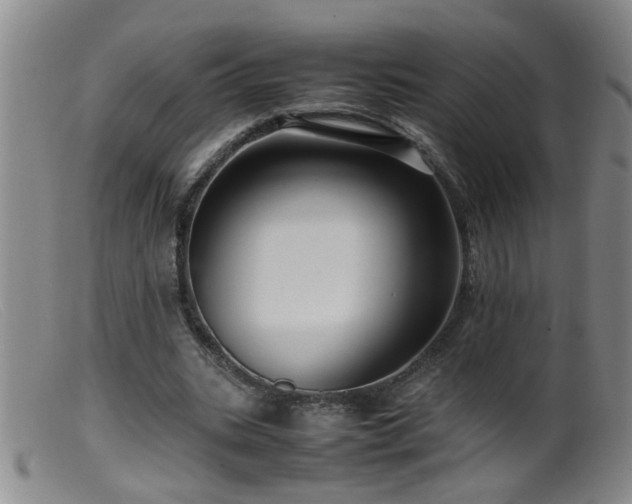 X0000099460535200805161049