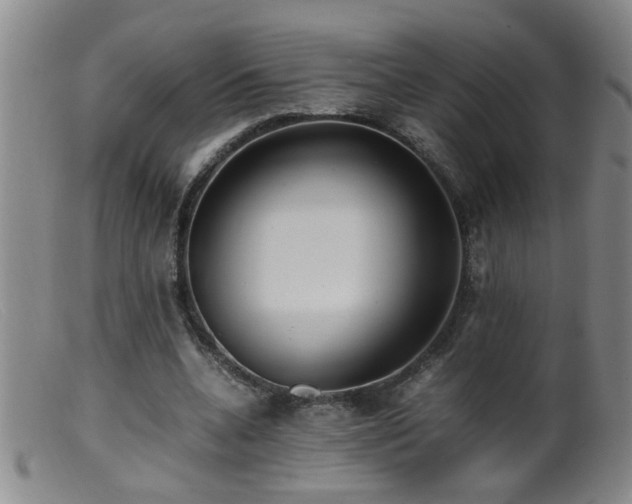 X0000099460536200805161049